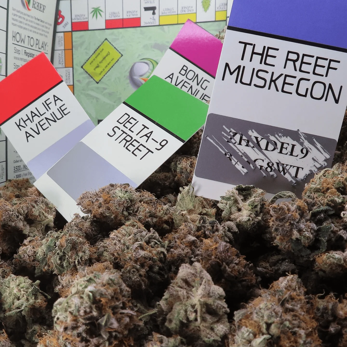 320785268_557368869199243_3925309694491161362_n_jpg