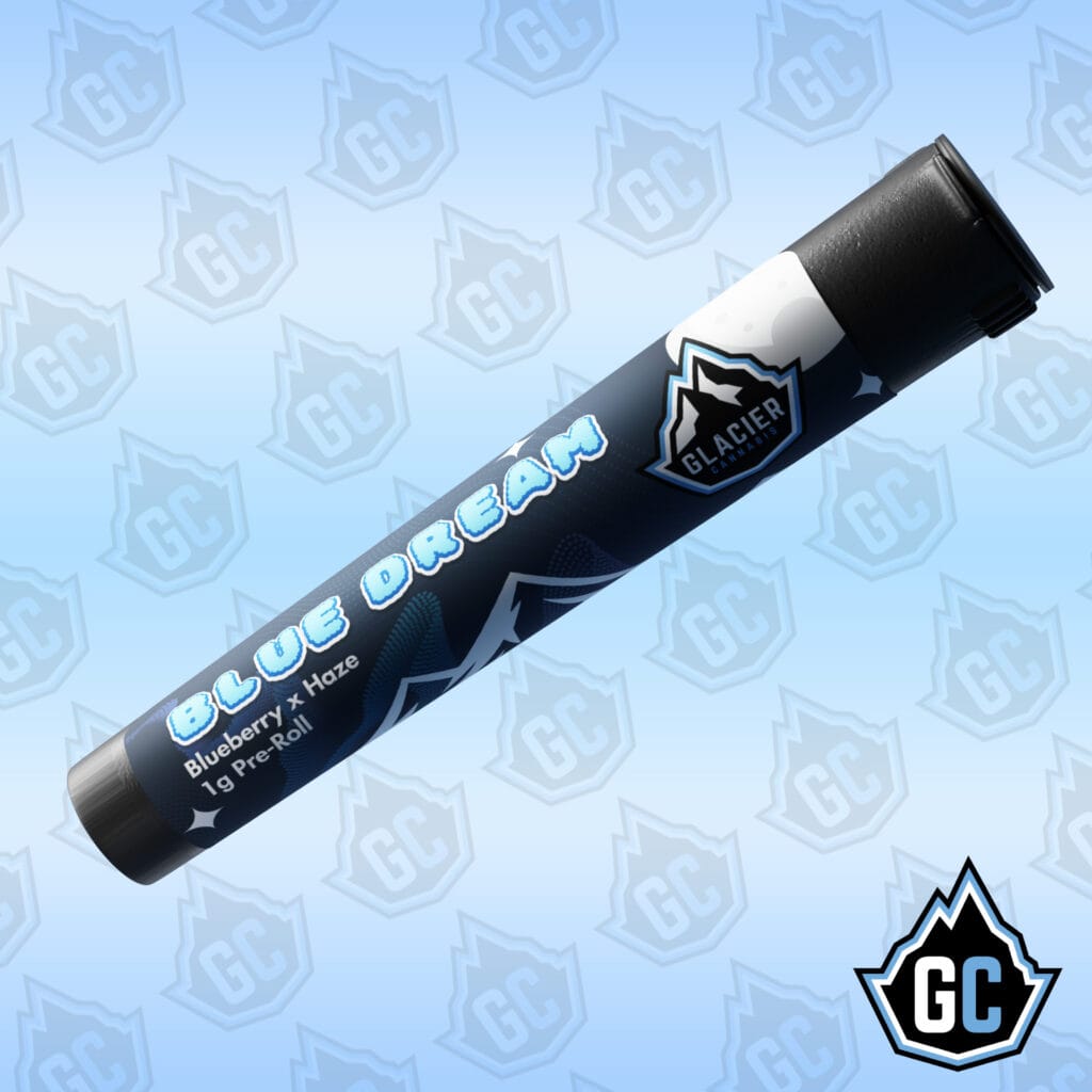 Igloo Glacier Product Template GC Logo blue dreamblue dream Igloo Glacier Product Template GC Logo blue dreamblue dream